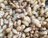 Foto del paso 2 de la receta: Guiso a Mi Manera Calienta Almas
