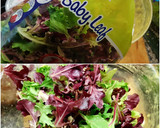 Foto del paso 10 de la receta: Ensalada de brotes tiernos y Espinacas con vinagreta de Mango