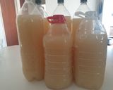 A picture of step 11 of Pineapple Beer with a kick.