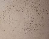 A picture of step 4 of Cheeni ka paratha.