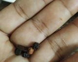 #કાઢા (kadha in Gujarati) રેસીપી સ્ટેપ3ફોટો
