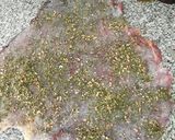 Foto del paso 1 de la receta: Matambre🎄Navideño