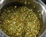 मूगाचे कढण (moongache kadhan recipe in marathi) रेसिपी स्टेप 1 फोटो 