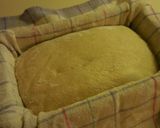 A picture of step 23 of Overnight Sourdough Bread - Sticky Wet Dough.