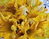 কুমড়ো ফুলের ভাজা। রেসিপির ধাপ 1 ছবি