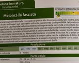 Foto del passaggio 5 della ricetta Pokè bowl mediterraneo