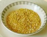 A picture of step 1 of Moong dal gulab jamun.