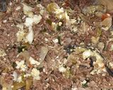 Foto del paso 1 de la receta: Calzón de carne