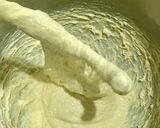 Foto langkah ke 1 dari resep Ciabatta Bread.