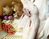 Hình bước làm 1 của món Vịt kho gừng