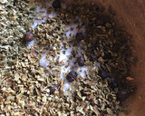 Foto del paso 4 de la receta: Caldo de hongos y mezcal