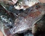 Foto langkah ke 1 dari resep Pepes nila santan putih.