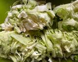 Golabki or Cabbage Soup recipe step 1 photo