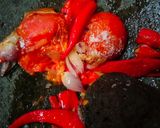 Foto langkah ke 3 dari resep 127. Sambal Bawang.