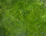 Foto del paso 2 de la receta: Arroz verde