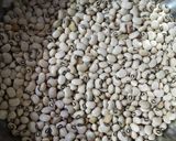 A picture of step 1 of Lobia Chaat.