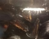 A picture of step 4 of Brandy, garlic and butter mussels.