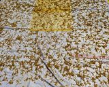 A picture of step 4 of Sabudana Potato Sev.