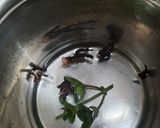 Foto del paso 3 de la receta: Te con hojas de buscapina y de hibiscus