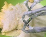 Foto langkah ke 2 dari resep Bolu Keju Panggang Tanpa SP/BP/Soda Kue.