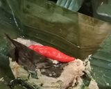 Foto langkah ke 4 dari resep Pepes jamur mie.