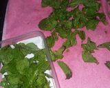 A picture of step 1 of Mint colada.