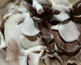 Foto langkah ke 1 dari resep Pempek Jamur Tiram.