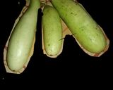 A picture of step 1 of Bottle Gourd Curry with Moong Dal.