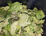 A picture of step 2 of Mint Margarita.