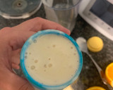 Foto del paso 3 de la receta: Papilla de fruta con yogur y galleta