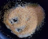 A picture of step 1 of Broken Wheat / Daliya Payasam.
