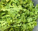炒山茼蒿的食譜步驟1照片