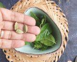 A picture of step 1 of Tulsi sudha.