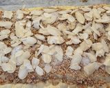 Foto del paso 9 de la receta Coca de chicharrones y crema en hojaldre