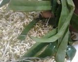Hình bước làm 4 của món Trồng giá sạch tại nhà