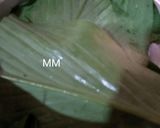 A picture of step 5 of Haladi Patra Pitha/Turmeric Leaves covered Cakes.