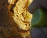 A picture of step 3 of Paneer Tikka Masala.
