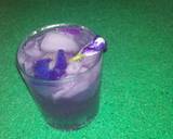 Magic Bluebellvine Lemonade recipe step 10 photo