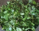 A picture of step 2 of Saga.. traditional vegetables.