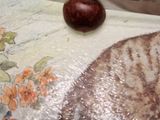 Marrons grillés à l'air fryer