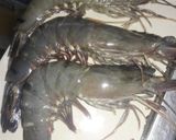 Foto langkah ke 1 dari resep Udang asam manis.