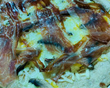 Foto del paso 4 de la receta: Pizza de jamón y champiñones a la sartén 🍖🍕