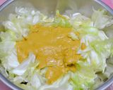 自製黃金泡菜（高麗菜）的食譜步驟3照片