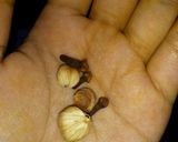 Foto langkah ke 1 dari resep Jamu Batuk (Bebas Gula).
