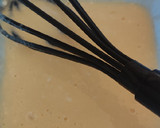 Foto del paso 2 de la receta: Bizcocho de chocolate saludable