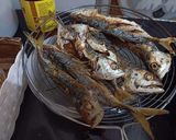 Foto langkah ke 3 dari resep Ikan Kembung Bumbu Kuning.