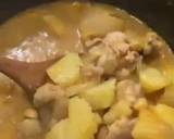 Thai Massaman Chicken Curry recipe step 4 photo