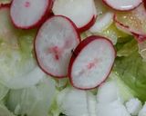 Foto del paso 1 de la receta Ensalada picosita de rabanitos