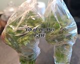 A picture of step 2 of ☘️How to Keep Coriander Fresh in the Fridge for Weeks☘️.