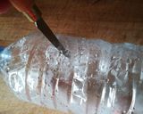 Foto del paso 2 de la receta: Brotes de soja caseros
